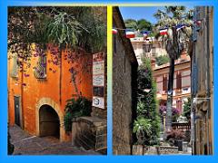 183 D24 BORMES LES MIMOSAS 2_000052